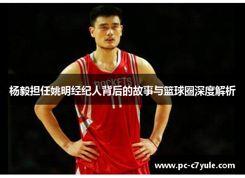 杨毅担任姚明经纪人背后的故事与篮球圈深度解析