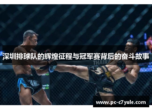 深圳排球队的辉煌征程与冠军赛背后的奋斗故事