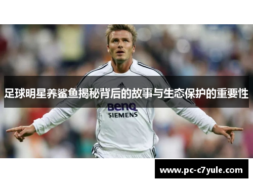 足球明星养鲨鱼揭秘背后的故事与生态保护的重要性