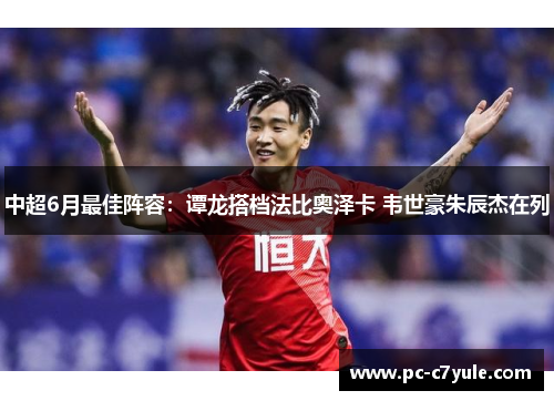 中超6月最佳阵容：谭龙搭档法比奥泽卡 韦世豪朱辰杰在列